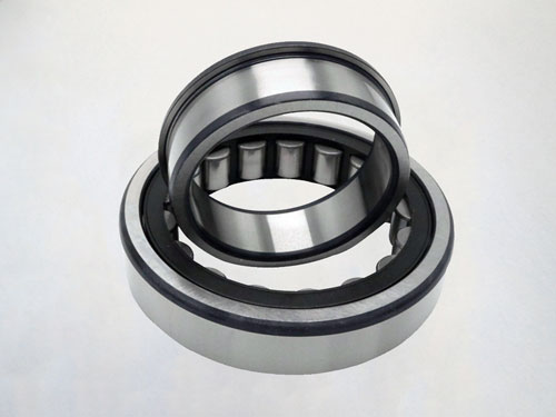 N207ETN RKW New Cylindrical Roller Bearing 